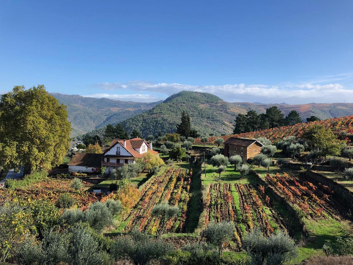 Quinta Vila Rachel - Winery Sao Mamede de Ribatua エクステリア 写真