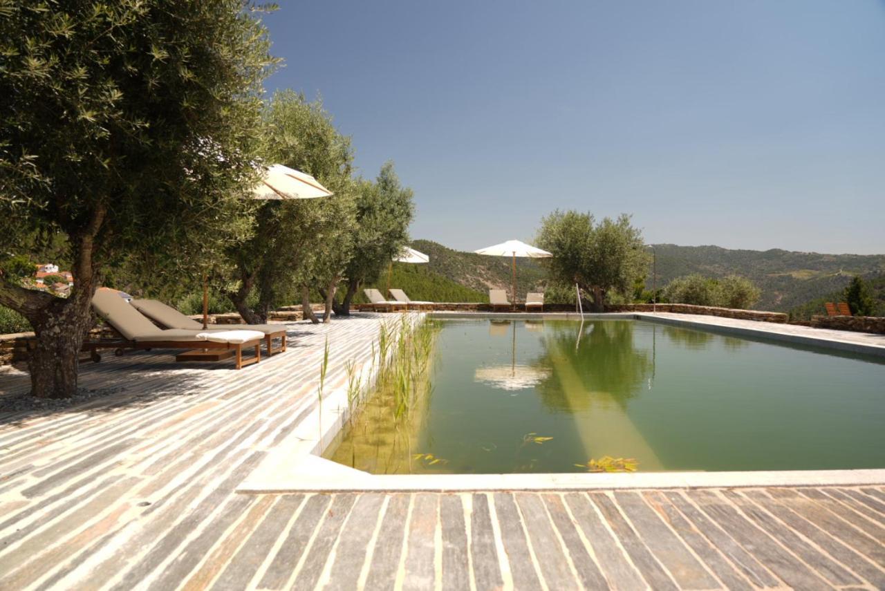Quinta Vila Rachel - Winery Sao Mamede de Ribatua エクステリア 写真