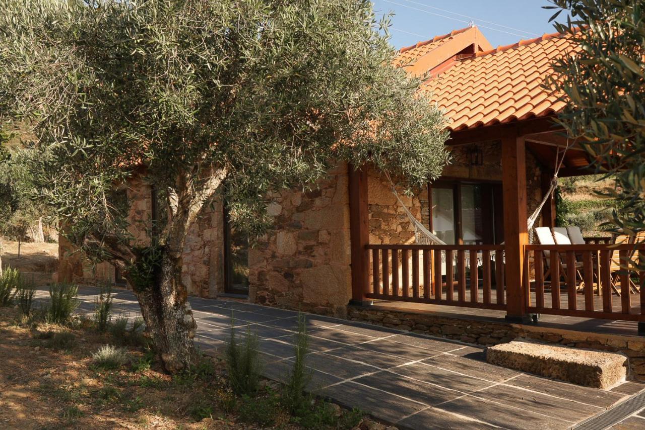 Quinta Vila Rachel - Winery Sao Mamede de Ribatua エクステリア 写真