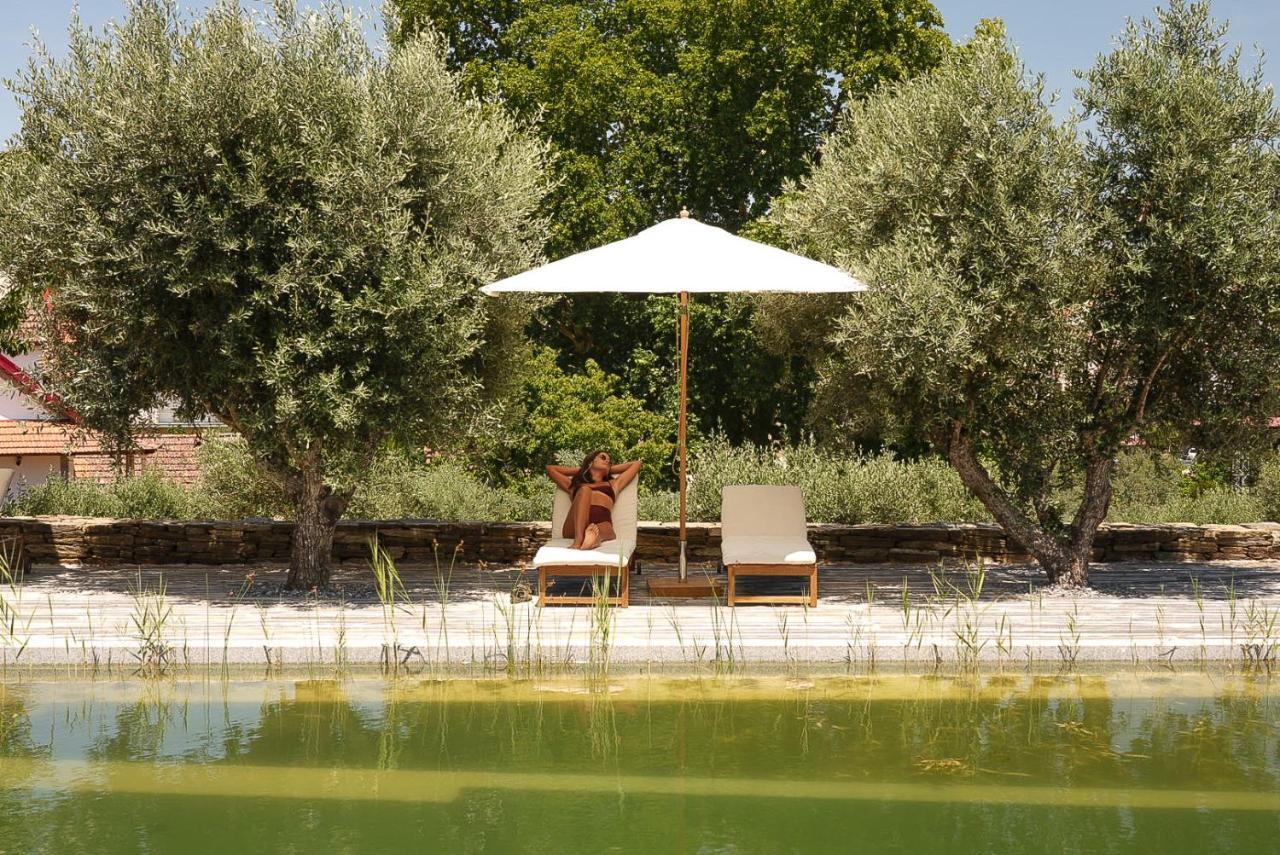 Quinta Vila Rachel - Winery Sao Mamede de Ribatua エクステリア 写真