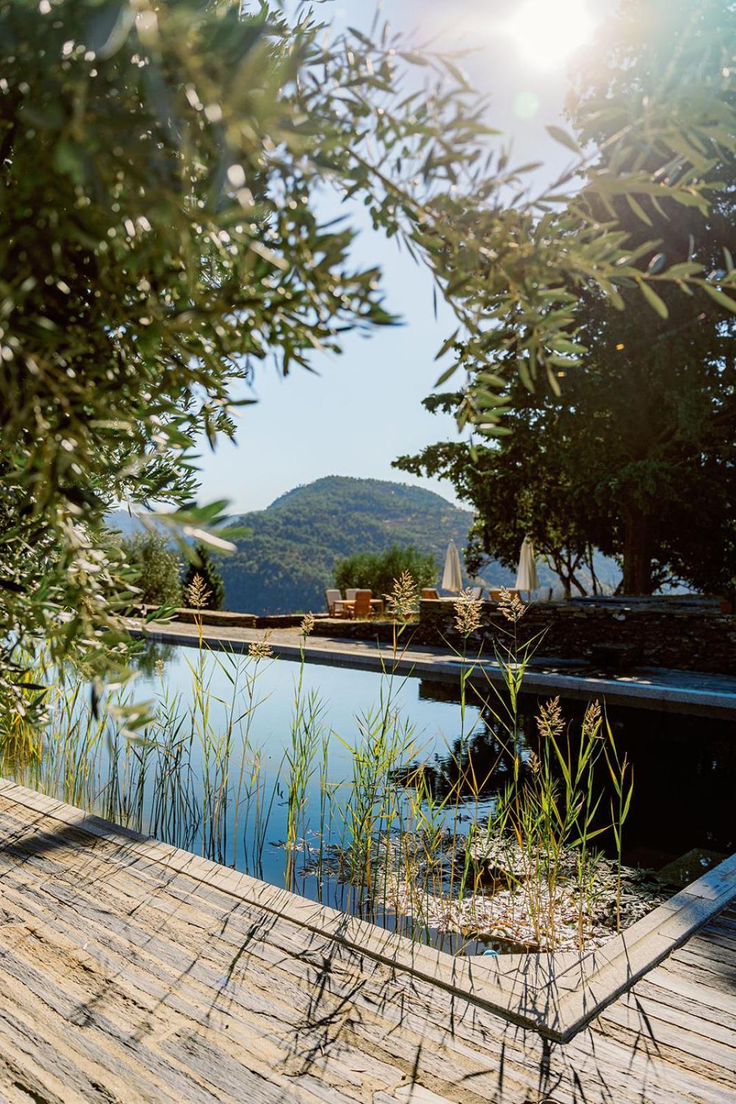 Quinta Vila Rachel - Winery Sao Mamede de Ribatua エクステリア 写真