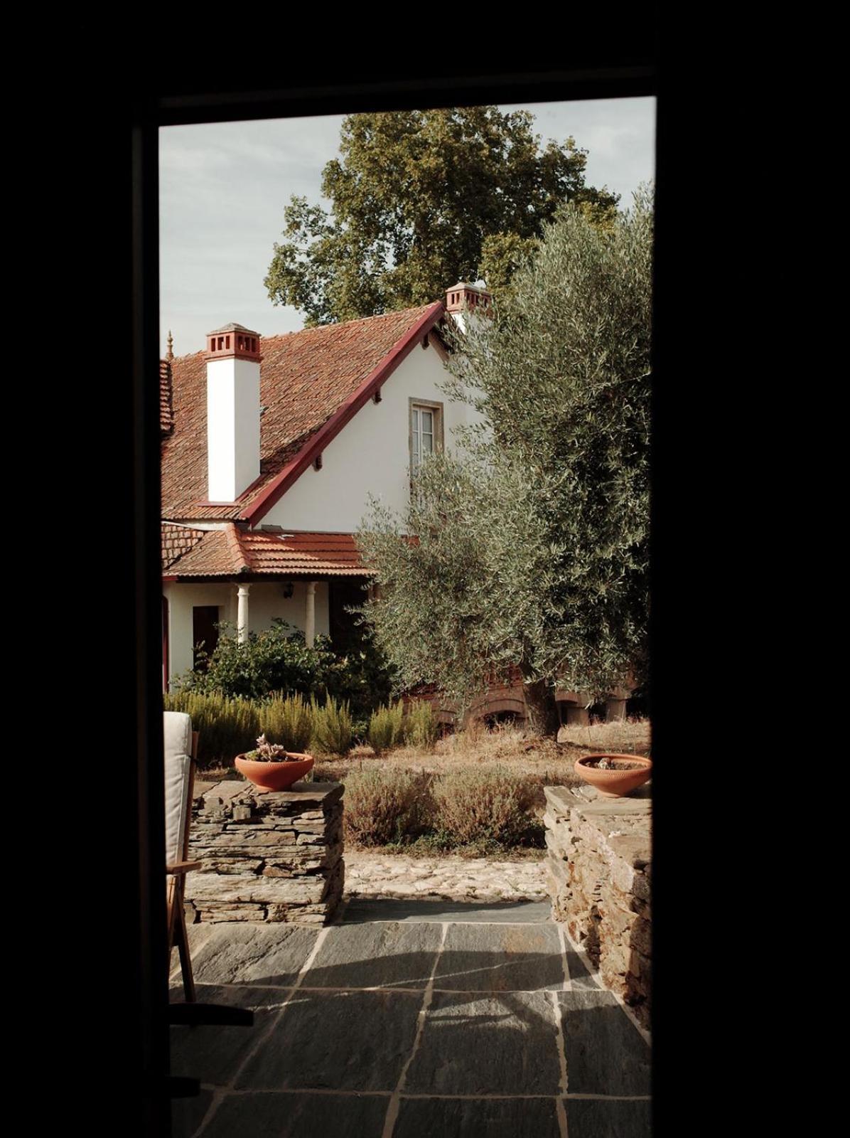 Quinta Vila Rachel - Winery Sao Mamede de Ribatua エクステリア 写真