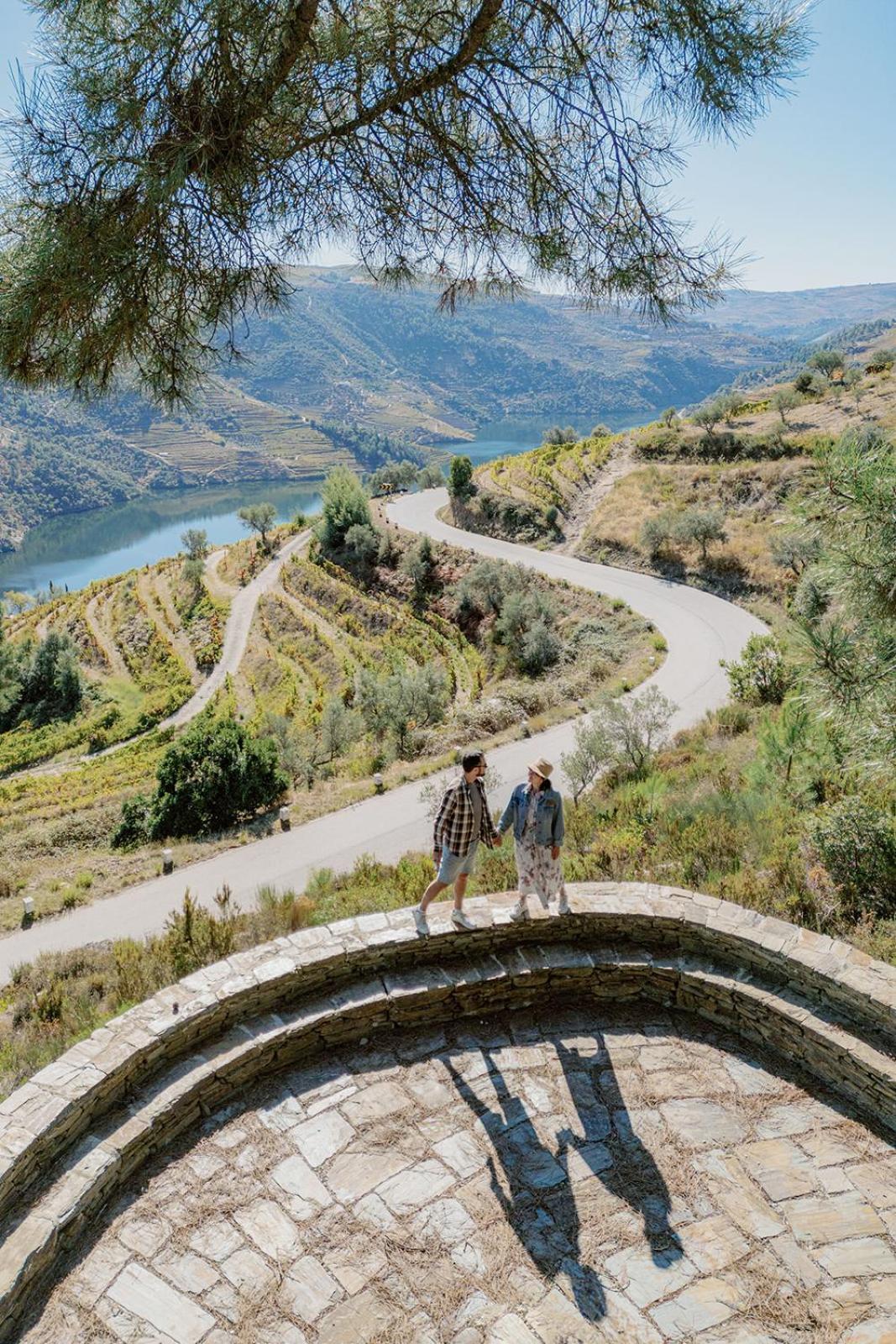 Quinta Vila Rachel - Winery Sao Mamede de Ribatua エクステリア 写真